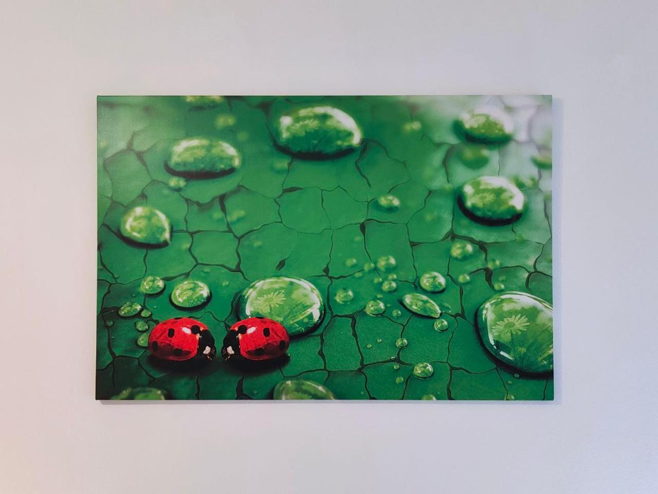 פרג'ינה ולסוגאנה La Coccinella Di Susa מראה חיצוני תמונה